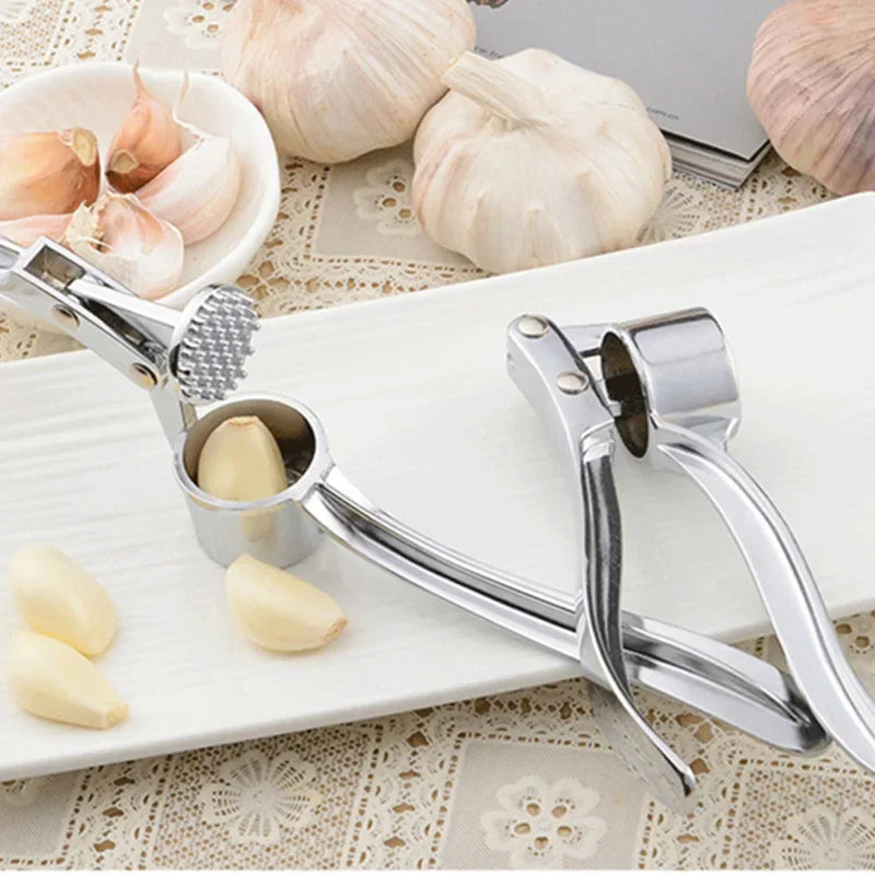 Stainless Steel Garlic Press & Smasher