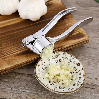 Stainless Steel Garlic Press & Smasher